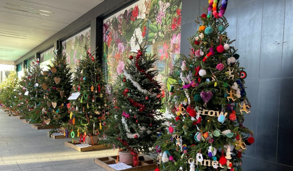 Princesshay celebrates 10 years of the Charity Christmas Tree Festival